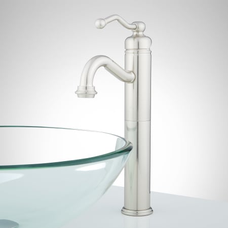 A large image of the Signature Hardware 910802-NO Brushed Nickel