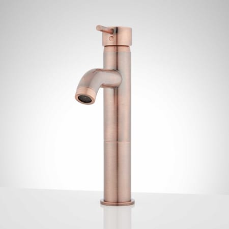 A large image of the Signature Hardware 920305 Antique Copper