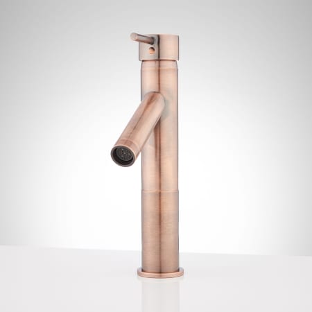 A large image of the Signature Hardware 920681-2 Antique Copper