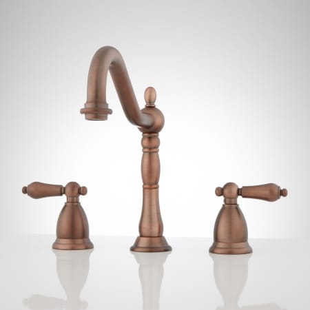 A large image of the Signature Hardware 903778 Oil Rubbed Bronze