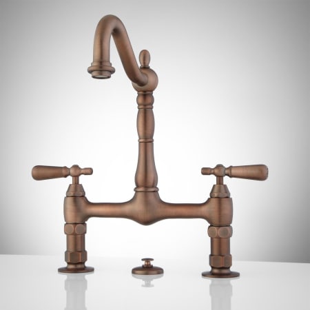 A large image of the Signature Hardware 907536 Oil Rubbed Bronze