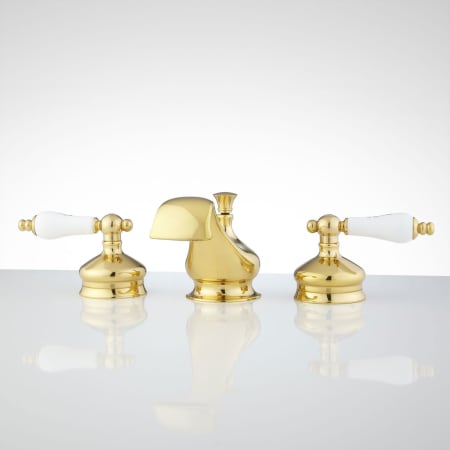A large image of the Signature Hardware 918816 Polished Brass