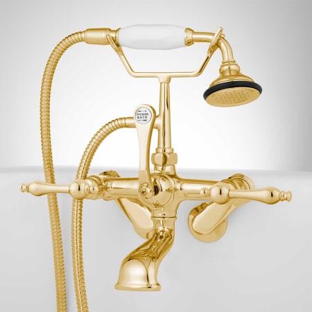 A large image of the Signature Hardware 926860 Polished Brass