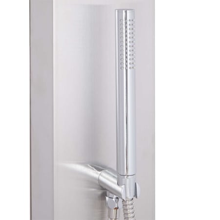 A large image of the Signature Hardware 413240 Hand Shower Detail