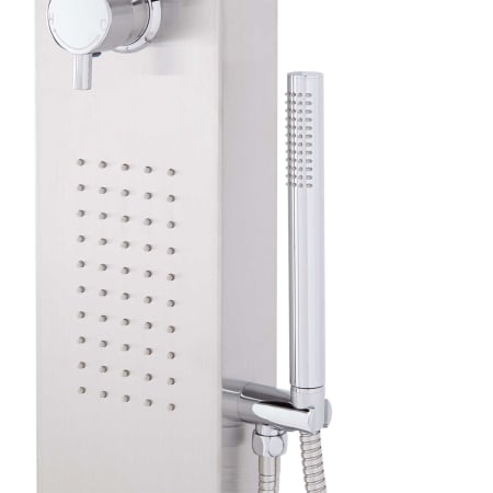 A large image of the Signature Hardware 413242 Hand Shower Detail