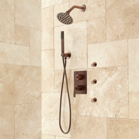 signature hardware trimble shower