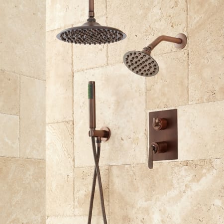 signature hardware shower trimble head