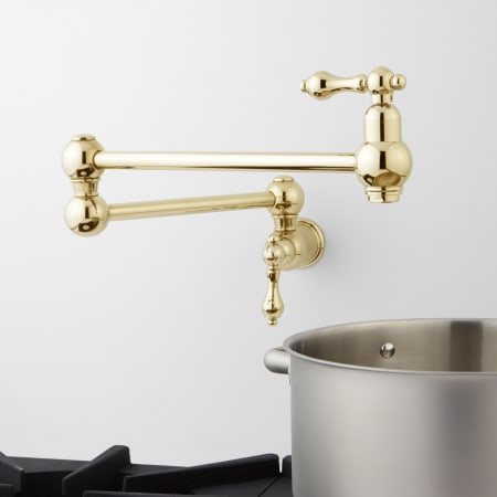 A large image of the Signature Hardware 917488 Polished Brass