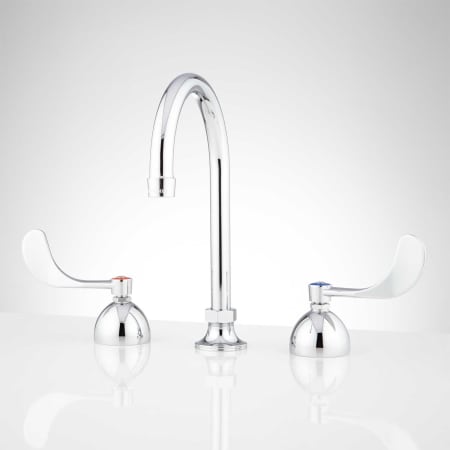 A large image of the Signature Hardware 416244 Chrome