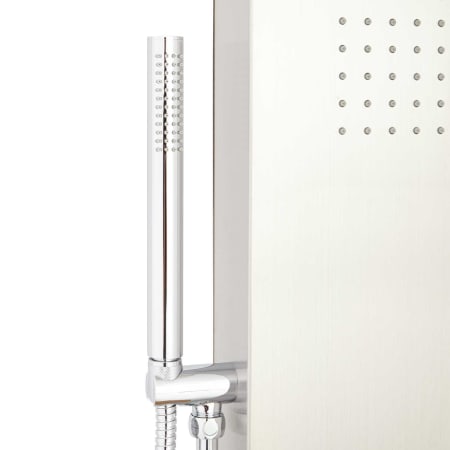 A large image of the Signature Hardware 417701 Hand Shower Detail