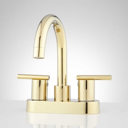 A large image of the Signature Hardware 932617 Polished Brass