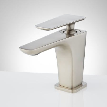 A large image of the Signature Hardware 933804 Brushed Nickel