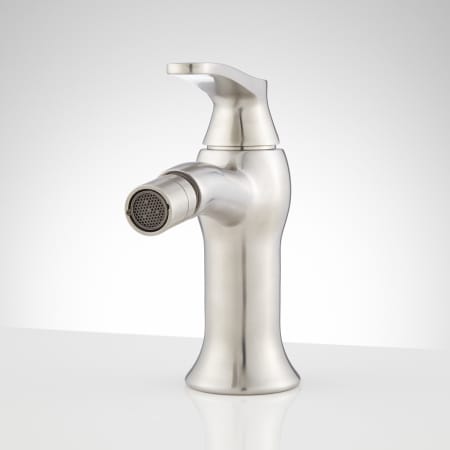 A large image of the Signature Hardware 935804 Brushed Nickel