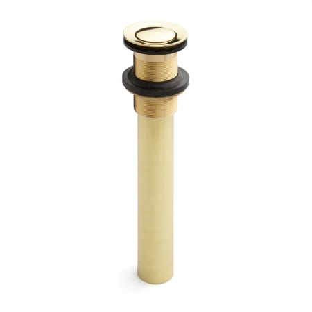 A large image of the Signature Hardware 940815 Polished Brass