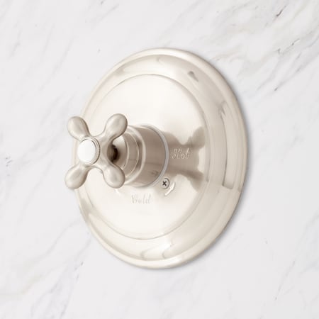 A large image of the Signature Hardware 943252 Brushed Nickel