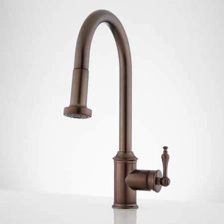 A large image of the Signature Hardware 943002 Oil Rubbed Bronze