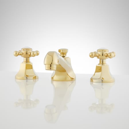 A large image of the Signature Hardware 903738 Polished Brass