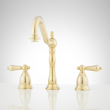 A large image of the Signature Hardware 903778 Polished Brass