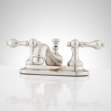 A large image of the Signature Hardware 918932 Brushed Nickel
