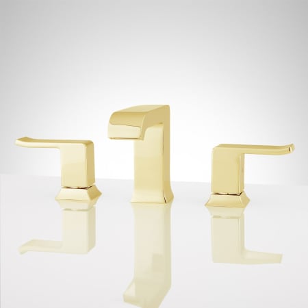 A large image of the Signature Hardware 920777 Polished Brass