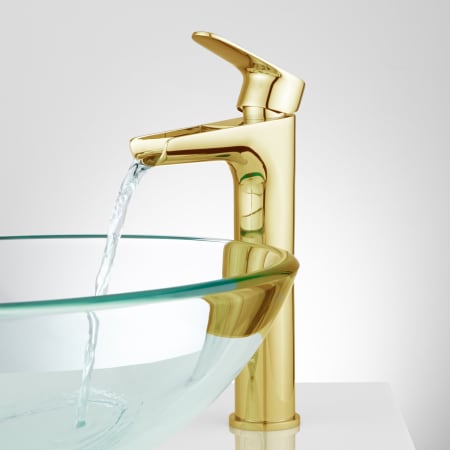 A large image of the Signature Hardware 927331 Polished Brass