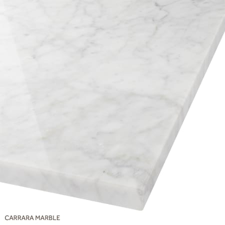 A large image of the Signature Hardware 438426 Carrara Marble Detail