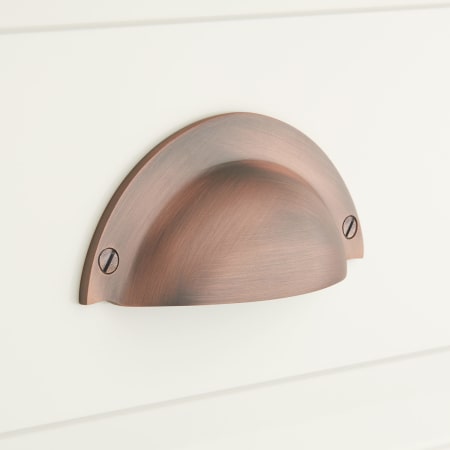 A large image of the Signature Hardware 945966 Antique Copper