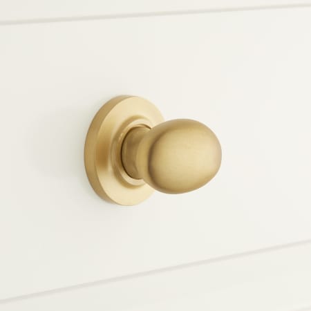 A large image of the Signature Hardware 945968-112 Satin Brass