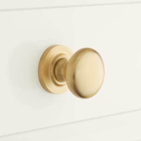 A large image of the Signature Hardware 945967-114 Satin Brass
