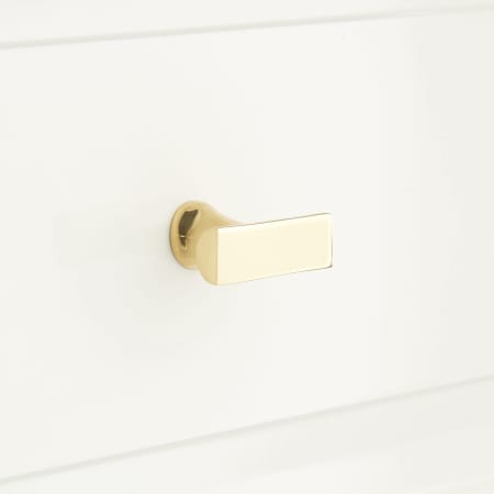 A large image of the Signature Hardware 945987 Polished Brass