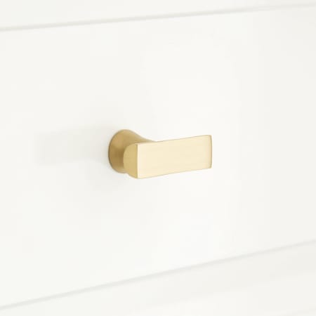 A large image of the Signature Hardware 945987 Satin Brass
