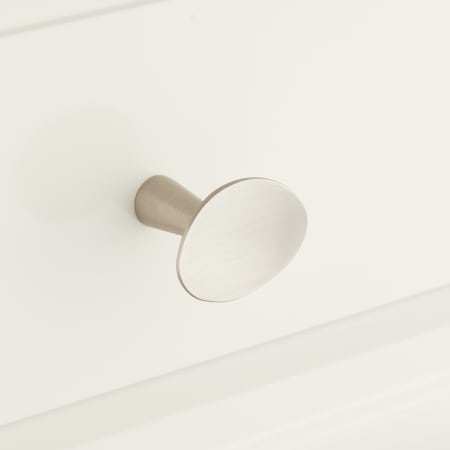 A large image of the Signature Hardware 945853 Brushed Nickel