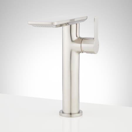 A large image of the Signature Hardware 947995 Brushed Nickel