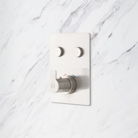 A large image of the Signature Hardware 948006 Brushed Nickel