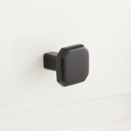 A large image of the Signature Hardware 946667 Matte Black