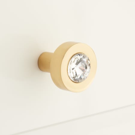 A large image of the Signature Hardware 946465 Satin Brass
