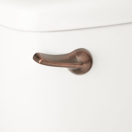 A large image of the Signature Hardware 948063 Oil Rubbed Bronze