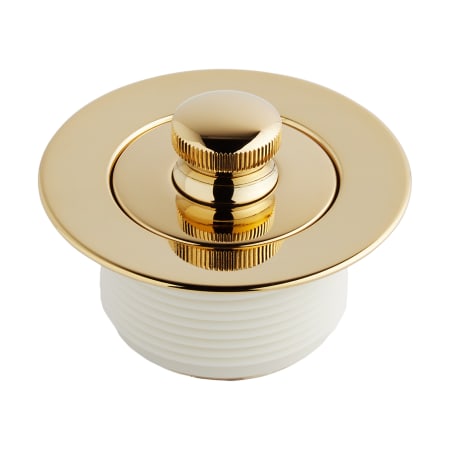 A large image of the Signature Hardware 948037 Polished Brass