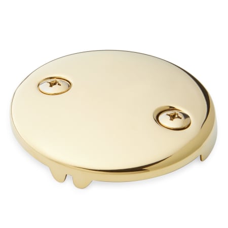 A large image of the Signature Hardware 948041 Polished Brass