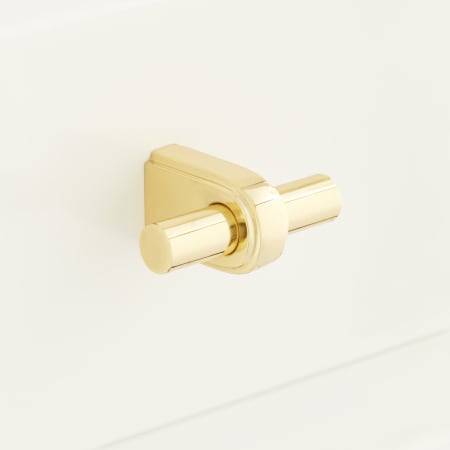 A large image of the Signature Hardware 947833 Polished Brass