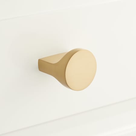 A large image of the Signature Hardware 947842 Satin Brass