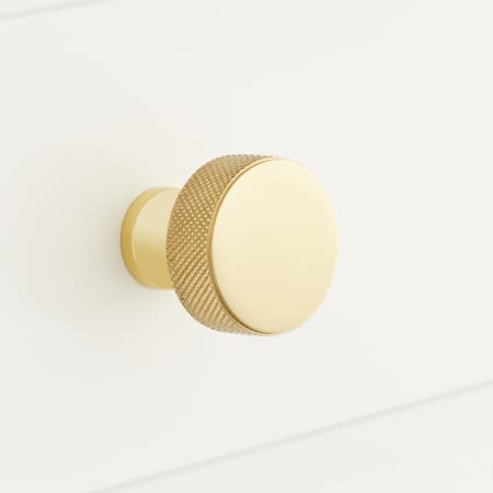 A large image of the Signature Hardware 947838 Polished Brass