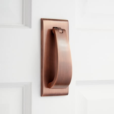 A large image of the Signature Hardware 948391 Antique Copper