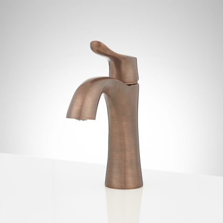A large image of the Signature Hardware 948579 Oil Rubbed Bronze