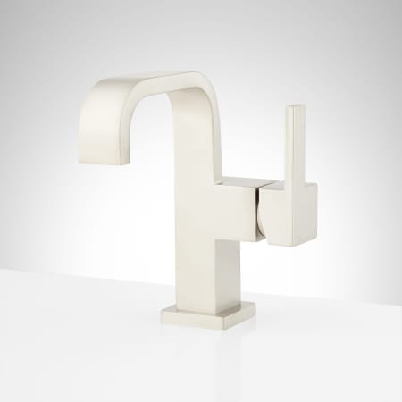 A large image of the Signature Hardware 948580 Brushed Nickel