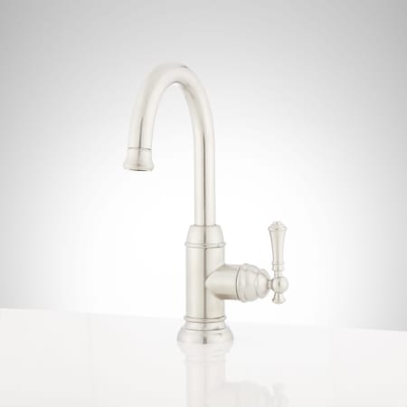 A large image of the Signature Hardware 948522 Brushed Nickel