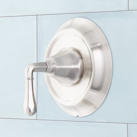 A large image of the Signature Hardware 948307 Brushed Nickel