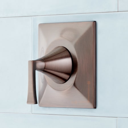 A large image of the Signature Hardware 948897 Oil Rubbed Bronze