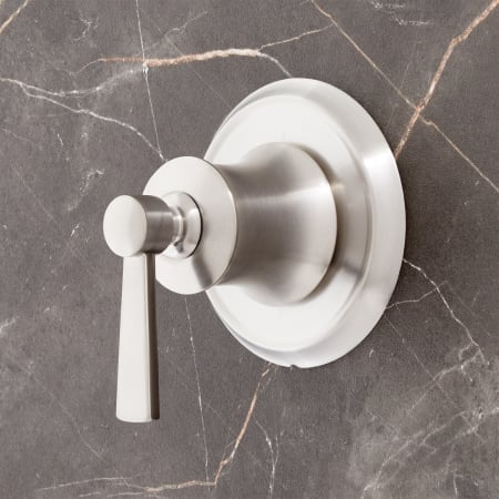 A large image of the Signature Hardware 948904 Brushed Nickel