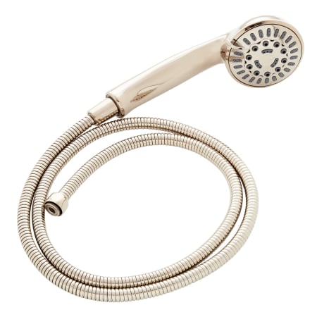 A large image of the Signature Hardware 949078 Polished Nickel